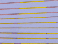 Spying Homer Simpson GIF by MOODMAN