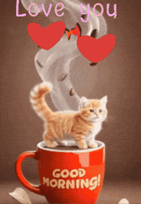 Good Morning Feliz GIF by Murcianys LLC