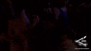 Happy Dance GIF by D-Mite Beats