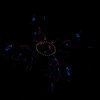 Art 3D GIF by The NGB