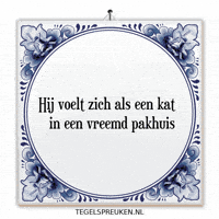 Humor Nl GIF by Tegelspreuken.nl
