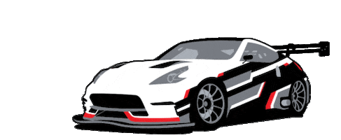 Racing Race Sticker by Z1 Motorsports