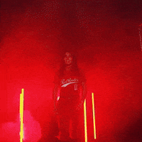 Lauren Allred GIF by Texas Tech Softball