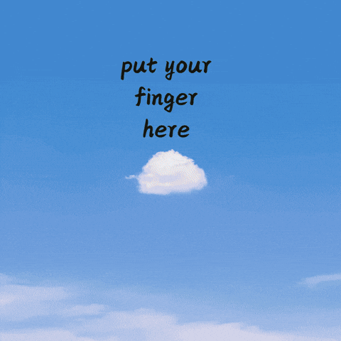 Capybara Hi Friend GIF by Furrend