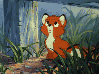 the fox and the hound film GIF