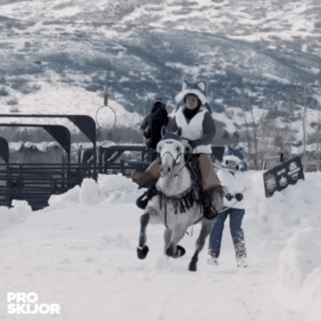 Horse Skiing GIF by PROSKIJOR