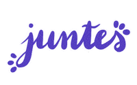 Feminism Lettering Sticker