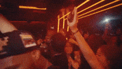 Hands Up Party GIF