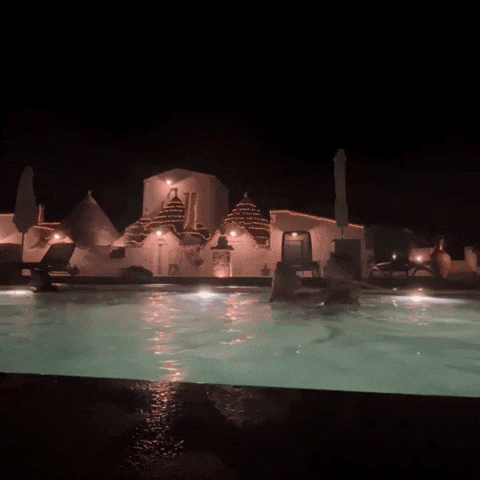 mummy_paradise giphyupload GIF