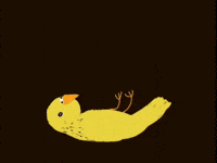 Dead Bird GIF by Barbara Pozzi