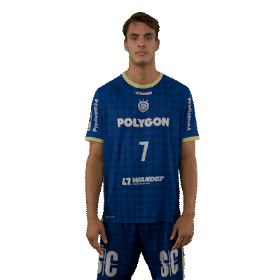 Handball Koester Sticker by DAIKIN HBL