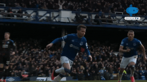 Everton Watford GIF by MolaTV