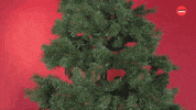 Christmas Tree GIF by BuzzFeed
