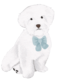 White Dog Flirt Sticker