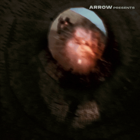 Science Fiction Film GIF by Arrow Video