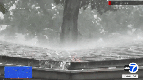 newscaststudio giphyupload GIF
