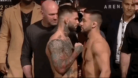 ufc 235 sport GIF by UFC