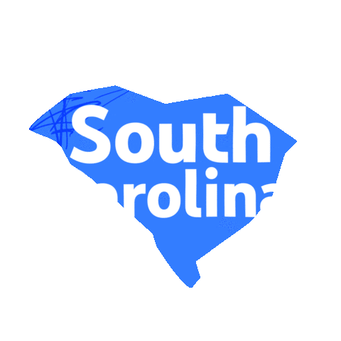 South Carolina Pride Sticker by YouTube