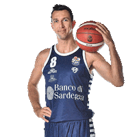 Basketball Basket Sticker by Dinamo Sassari