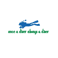 Open Water Bubbles Sticker by Blue Corner Dive Bali
