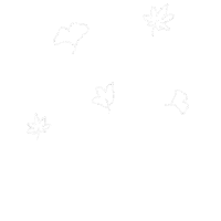 Flower 花 Sticker