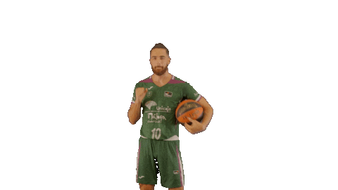 Celebrate Liga Endesa Sticker by ACB