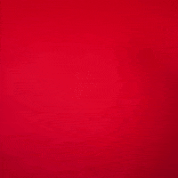 Texas Tech GIF by Texas Tech Baseball