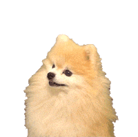 Dog Puppy Sticker