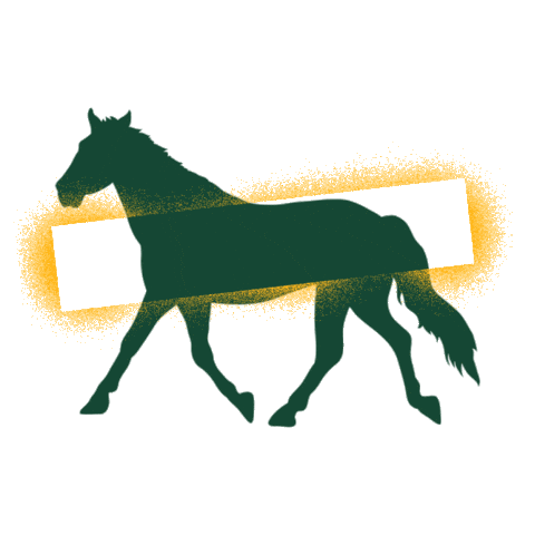 Baylor Bears Bu Sticker by Baylor Athletics