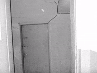 GIF by Alex Boya