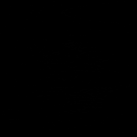 Black Belt Wrestling GIF by 10th Planet Corona