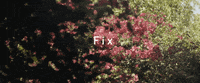 hazel english fix GIF by Polyvinyl Records