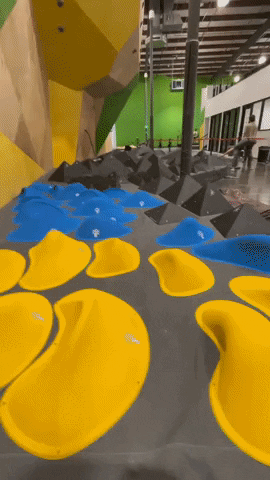 brittanyraedavis giphygifmaker GIF