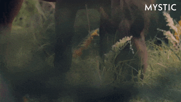 Bbc What GIF by Mystic