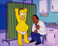 Television Homer GIF by The Simpsons
