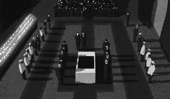 GIF by Nikolar