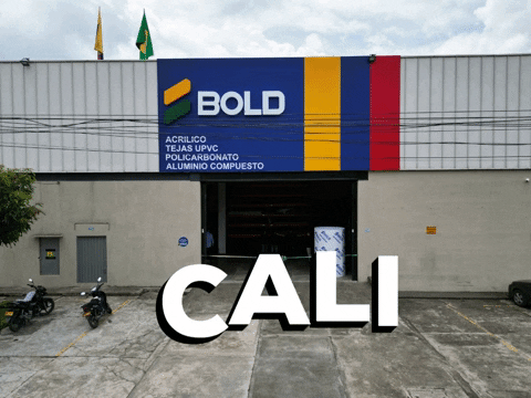 Cali GIF by BoldCol