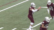 football trickplay GIF