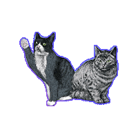 SpaAlder brook alder alder and brook Sticker