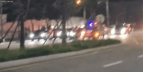 seotor_7 giphyupload GIF