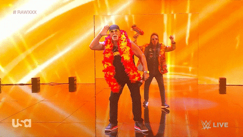 Wwe Wrestling GIF by USA Network
