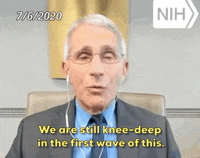 Anthony Fauci GIF by GIPHY News