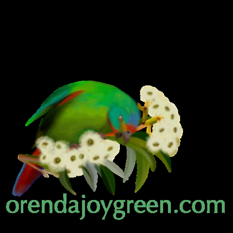 orendajoygreen flowers bird tree parrot GIF