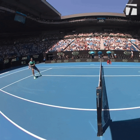 GIF by Tennis Channel