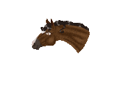 Horse Pony Sticker