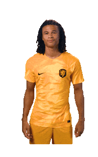 Fifaworldcup Ake Sticker by OnsOranje