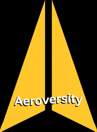 aeroversity fly plane airplane flight GIF