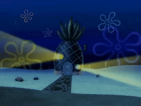 season 5 the original fry cook GIF by SpongeBob SquarePants