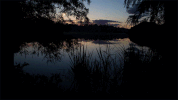 sunrise uf GIF by University of Florida