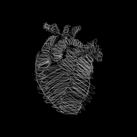 San Valentin Heart GIF